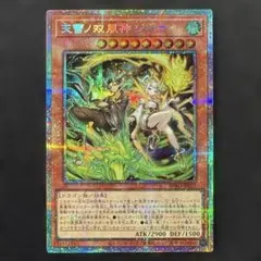 2026年最新】天雷ノ双風神 シーナの人気アイテム - メルカリ