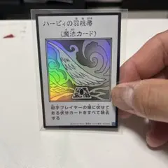 ハーピィの羽根帚 ウルトラ モノクロ