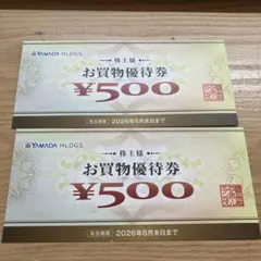 YAMADA HLDGS. お買物優待券 1000円分