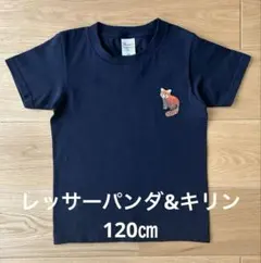 最終価格【未使用に近い】レッサーパンダ&キリン120 ㎝のんほいパーク綿100のサムネイル