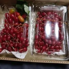 専用です。二種類のグミ