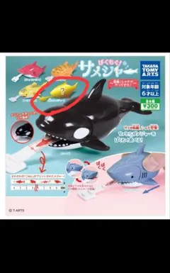 ぱくもぐ！サメジャー 〜宿敵！シャチがやってきた〜 ガチャ シークレット
