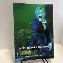 2026年最新】Acid Black Cherry写真集の人気アイテム - メルカリ