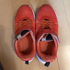 Item thumbnail for item bb2c9700-4af8-4295-8f7e-57e77176be24