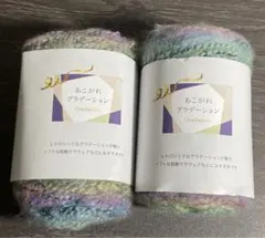 あこがれグラデーション　毛糸　No. 7 ロットNo. 25A　2個セット