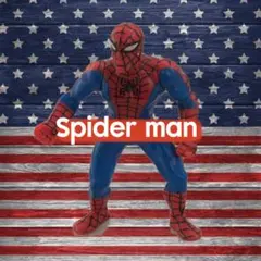 スパイダーマン フィギュア 約15cmのサムネイル