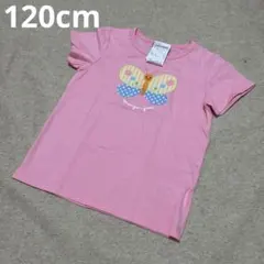 【新品】チョウチョウのTシャツ♡120cmのサムネイル