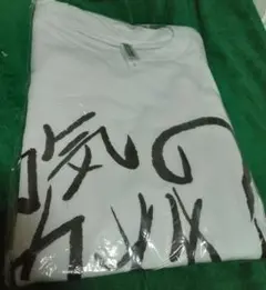 Item thumbnail for item c32f098b-b8ba-431f-9179-3e198245a39e