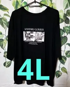 フォトプリント 半袖カットソー 4L