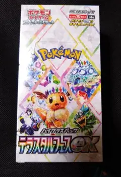 2026年最新】テラスタルフェスex BOXの人気アイテム - メルカリ