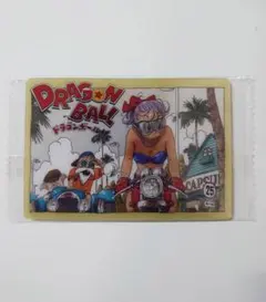 クリシュナ様 リクエスト 2点 まとめ商品