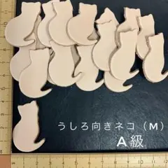 Item thumbnail for item 948a3c17-e8bf-44cd-b29f-6f852f4a5bfb