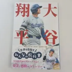 大谷翔平 趣味