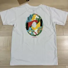 THE NORTH FACE カラフルTシャツ　160