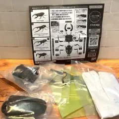 ★ いきもの大図鑑アドバンス クワガタ02 エラフスホソアカクワガタ(グリーン)