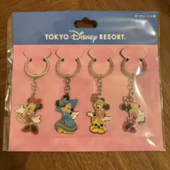 東京ディズニーリゾート ディズニープリンセスキーホルダー5個セット
