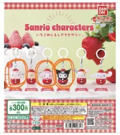 Sanrio characters いちごめじるしアクセサリー