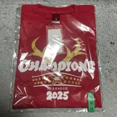 鹿島アントラーズ 優勝記念