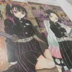 鬼滅の刃 特装版 20巻　ポストカード　 カナヲ　胡蝶しのぶ