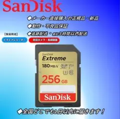 48.サンディスクExtreme SDカード256GB .7 - メルカリ