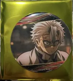 鬼滅の刃 キャラバッジコレクションB (実弥)