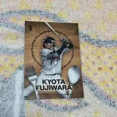 千葉ロッテマリーンズ　マリーンズコレクション　カード①