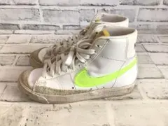 Item thumbnail for item a79ca5f3-249b-448b-a099-392772b56495