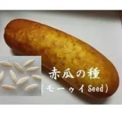 B*c様 D138 赤うり（モーウィ）の種30粒　伝統野菜Seed　島やさいタネ