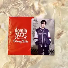 StrayKids チャンビン dominATE ランダムフォトカード　スキズ