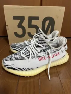 Item thumbnail for item 2c5ae5e9-6d44-4dba-b194-9caf09fc3a4e