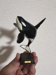 いきもん ネイチャーテクニカラー 南極 特装版 ガチャ シャチ