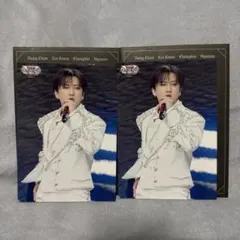 Straykids スキズ　チャンビン　ラントレ　VR 2枚セット