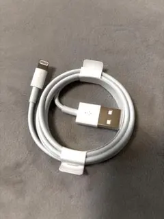 純正Apple Lightningケーブル（USB-A）