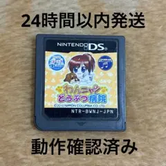 わんニャンどうぶつ病院