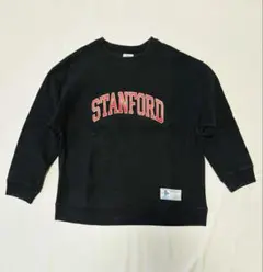 Item thumbnail for item 8a43c15d-afb6-4133-8b69-3c28bd7ad500