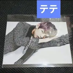 BTS プレミアムライブ入場特典 カードケース フォトカード テテ