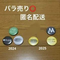 レディクレ2025缶バッジ - メルカリ