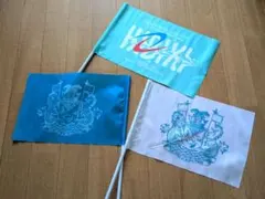 ゆず フラッグ 3本 BIGYELL HIBIKI