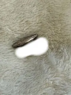 シルバー925ビーズ 激レアインディアンビーズ約2.5cm B