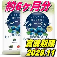 目に良い栄養素ブルーベリー約6か月分 約3か月分×2袋 サプリメントシードコムス
