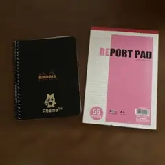 Item thumbnail for item 8d6db844-fffb-4c73-b49d-96d44feb3254