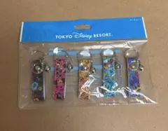 東京ディズニーリゾート キーチェーン 5本セットのサムネイル