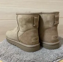 Item thumbnail for item cf3fe042-424c-4f62-8e48-4a15eb49f49a