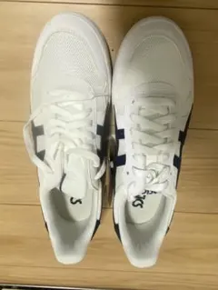 アシックス　JAPAN S