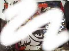 ブラックフライデー価格‼︎ヒスミニ福袋