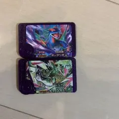 ポケモンフレンダ スーパートレジャー　ボーマンダ　テツノイサハ