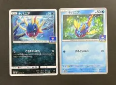 ポケモンカード キバニア プロモ 2枚セット GYM ジムプロモ ポケカのサムネイル