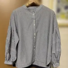 スコットクラブ系列 Aga ストライプドルマンハーフスリーブシャツ 