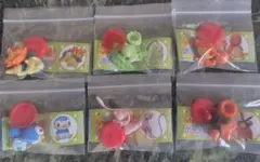 ポケモン　チョコエッグ　[旅立ちの3匹]