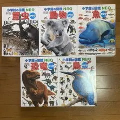 小学校の図鑑 NEO 5冊セット